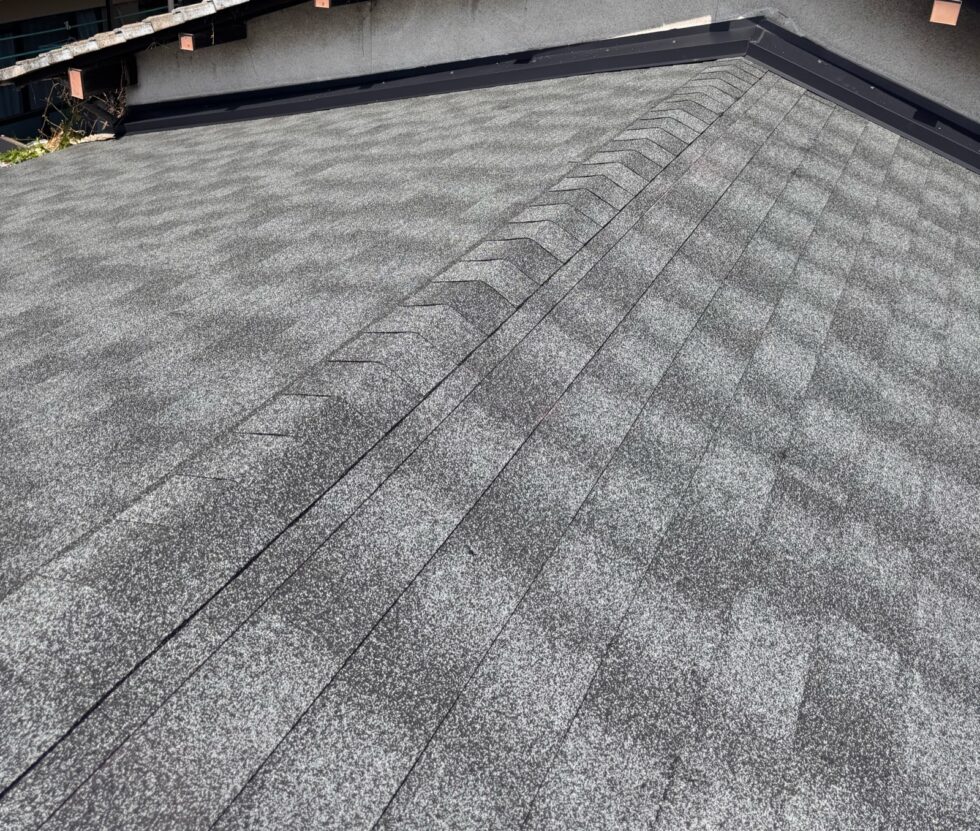 <p>工事の後に強い雨が降ったが、全く問題なかった。<br />
施工中の写真をいただけたのはよかったです。<br />
工事途中もまめにご連絡いただき、対応がていねいでした。<br />
ありがとうございました。</p>

