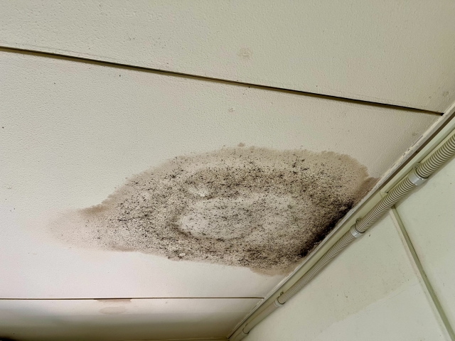 雨漏りしている画像