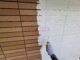 2025/7/28　エースの塗替え工事日記